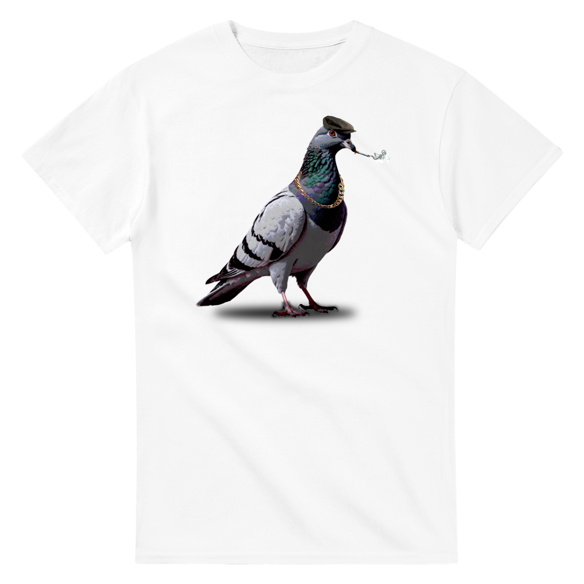 Black Country Pigeon